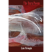 The Burn Poems