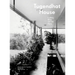 Tugendhat House. Ludwig Mies Van Der Rohe