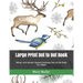 Large Print Dot to Dot Book: Winter and Autumn Season Christmas Dot-to-Dot Book For Adults