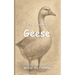 It's Time to Learn about Geese