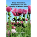 The Opium Wars: Drugs (Narcotics), Aspirations, And The Shaping Of Modern China