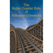 The Roller Coaster Ride of Alzheimer'S/Dementia