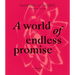 A World of Endless Promise: Manifesto of Fragility