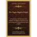 The Negro Baptist Pulpit: A Collection Of Sermons And Papers On Baptist Doctrine And Missionary And Educational Work (1890)