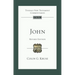 John (Revised Edition): Tyndale New Testament Commentary
