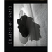 Grains of Sand: Photographs by Marion Patterson