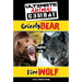 Grizzly Bear Takes on Dire Wolf