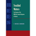 Troubled Waters: Origins of the 1881 Anti-Jewish Pogroms in Russia