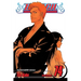 Bleach, Vol. 74: The Death and the Strawberry