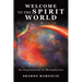 Welcome to the Spirit World: An Explanation of Metaphysics