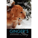 Ginger's Story: A Golden Retriever Reflects Upon Her Life With Humans