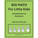 BIG MATH for Little Kids: Introduction to Numbers (Solution Manual)