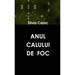 Anul Calului de Foc