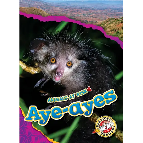 Aye-Ayes