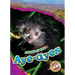 Aye-Ayes