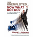 I Am Unemployed ... Now What Do I Do?: An Organized Approach to Becoming Employed