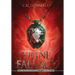Trine Fallacy: The Kinderra Saga: Book 2