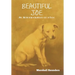 Beautiful Joe