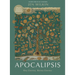 Apocalipsis - Estudio Bíblico Con Videos Para Mujeres: Rey Eterno, Reino Eterno