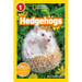 Hedgehogs (National Geographic Kids Readers, Level 1)