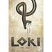 Loki: (Spanish Edition)