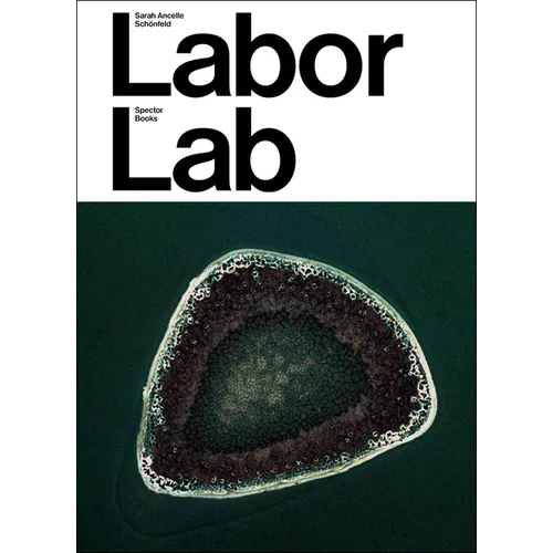Sarah Ancelle Schönfeld: Labor Lab