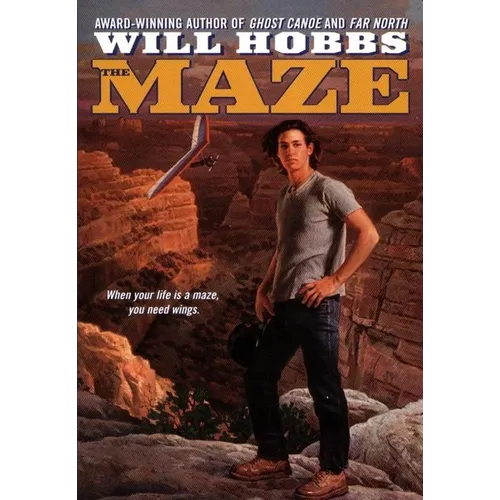 The Maze