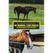 My Memoir: I Love Horses My Forever Horses: Josef and Ranger