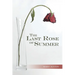 The Last Rose of Summer