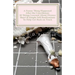 A Funny Thing Happened After the Courthouse: : 10 Things Learned About Divorce Short & Simple Self-Realizations To Help Get Back on Track