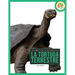 La Tortuga Terrestre