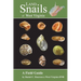 Land Snails of West Virginia
