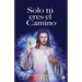 Solo tú eres el camino