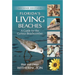 Florida's Living Beaches: A Guide for the Curious Beachcomber