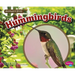 Hummingbirds