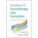 Handbook of Psychotherapy Case Formulation