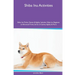 Shiba Inu Activities Shiba Inu Tricks, Games & Agility. Includes: Shiba Inu Beginner to Advanced Tricks, Series of Games, Agility and More