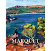 Albert Marquet: The Quiet Fauve