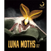 Luna Moths