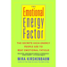 The Emotional Energy Factor: The Secrets High-Energy People Use to Beat Emotional Fatigue