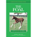 Understanding the Foal: Your Guide to Horse Health Care and Management
