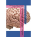 Fundamentals of Neurological Diagnosis: A book on the clinical localization of Neurological disorders and investigation modalities