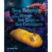 Sea Bunny and Other Strange Sea Slugs and Sea Cucumbers