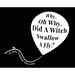 Why, Oh Why, Did A Witch Swallow A Fly