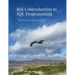 Bek's Introduction to SQL Programming: "That Pelican Database Book"