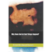 Why does God let bad things Happen?