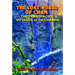 The Lost World of Cham: The Transpacific Voyages of the Champa