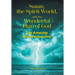 Satan, the Spirit World, and the Wonderful Plan of God: The Amazing Bible Perspective
