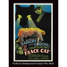 The Black Cat (hardback)