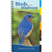 Birds of the Midwest: Identify Backyard Birds with Ease
